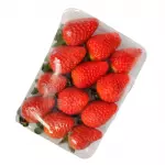 Morango