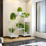 Estante plantas 3 niveles