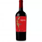 Braccobosca Lacertilia Tannat
