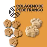 GELADINHO DE COLÁGENO PÉ DE FRANGO