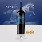 Caballo loco apalta