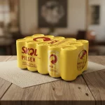 Cx Skol 269ml/15un