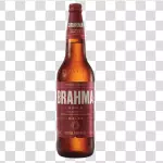 LITRÃO BRAHMA DUPLO