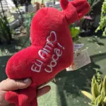 Pelúcia Coração pequena
