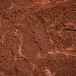Gelato de Tiramisú