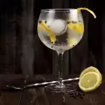 Gin Tonic.