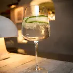 GIN & TONIC