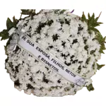 Coroa de Condolências Paz