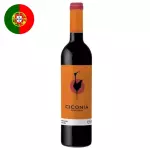Ciconia