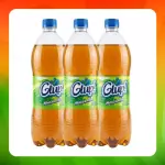 Bulto Glup Manzanita 1l
