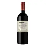 cosecha tarapaca  carmenere