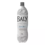 BALY COCO E AÇAI 2L