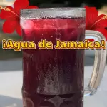 AGUA JAMAICA 1 LT