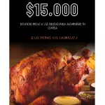 POLLO SOLO
