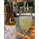 KOMBUCHA IFPI