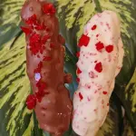 Espeto Cravejado