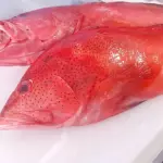 Cátua inteiro kg