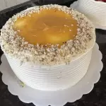 Fatia paraense