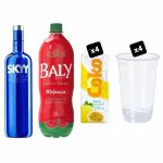 Combo Skyy