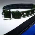 Collar Reforzado 52cm