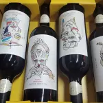 Kit chateau subsonico