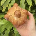 PAN DE MUERTO CLÁSICO 🍊