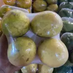 Maracujá