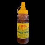 MEL SILVESTRE 250g