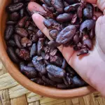 Nibs de cacao