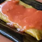 Vaporcito de pollo
