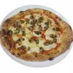 Funghi Vegana