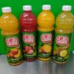 Watts 1.5L