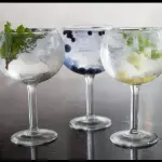 JUERGA CON  GIN TONIC 🍷🍷