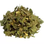 Guaçatonga - 16g