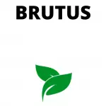 Brutus