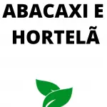 Abacaxi e Hortelã