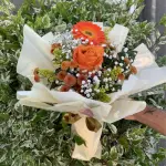 Rosa, gérbera e Pinóquio