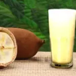 SUCO  DE CUPUAÇU 500 ML (cod 159)