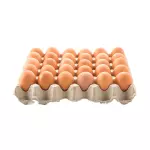 Huevos  El tunal