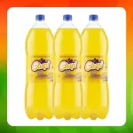 Bulto Glup Piña 2l