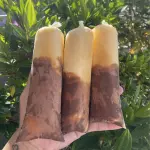 MARACUJÁ COM CREME AVELÃ