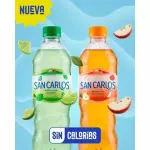 AGUA JUGO DE FRUTA SAN CARLOS 600ML