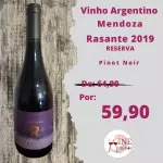 Vinho Argentino Mendoza Rasante 2019