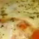 Pizza de mussarela