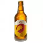 Skol Pilsen 300ml Gelada