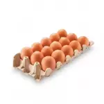 HUEVOS AA X15