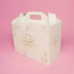 Lonchera Mini especial estampadRG107