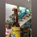 Pacífico
