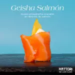 Geisha Salmón