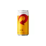 Skol 269ml